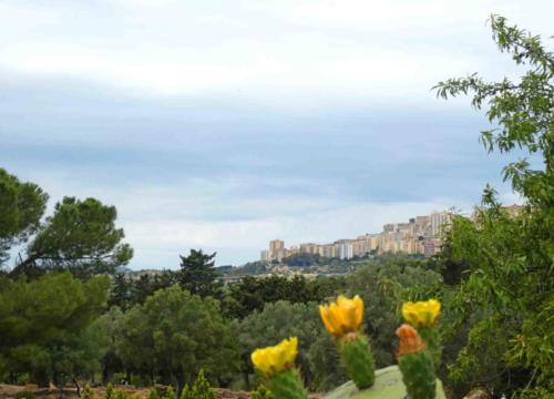 It's close to the modern city of Agrigento (Akragas) 