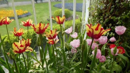 We timed our visit well; the spring flowers were bursting into life and the gardens were beautiful