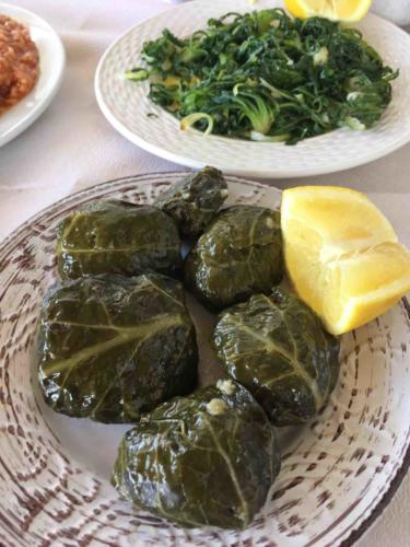 Dolmades and a plate of greens foraged from the fields around the taverna
