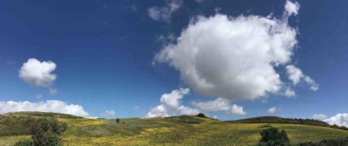 We were so fortunate with the timing of our  visit to Sicily