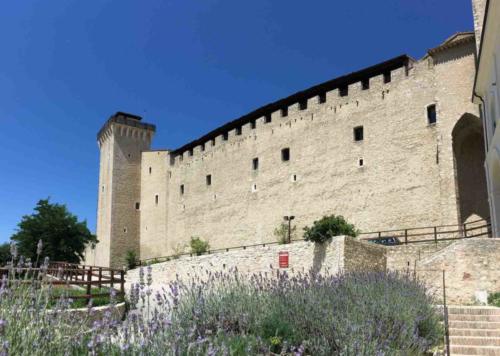 Built as a symbol of the Pope's authority, the Rocca later became the residence of the city's governors; from 1817-1982 it served as a prison