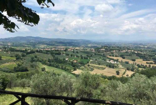 From its hilltop perch, Montefalco looks out over the Umbrian countryside