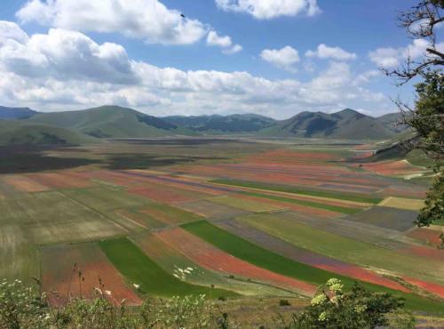 Really, what else is there to say?