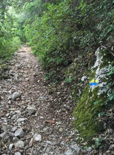 As you get a bit higher up, coloured markers on rocks and trees keep walkers on track