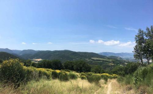 Refreshed and refuelled we headed off again, but not via the road 