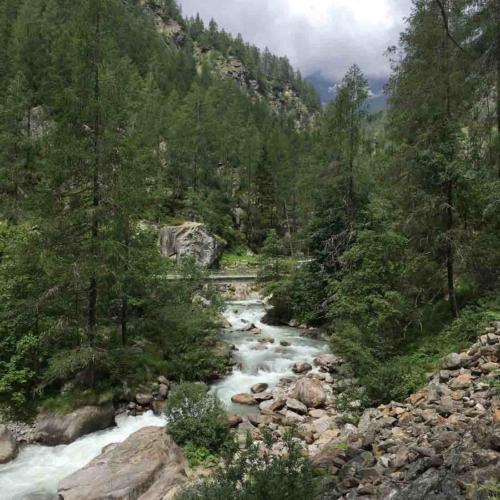 We thought it was going to be an easy walk 