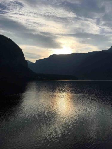 Even so, the swans were up before us