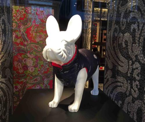 How about a puffer jacket for Fido? Perfect for this cooler weather