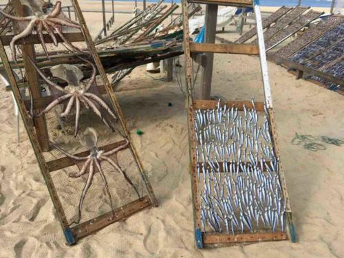 The variety of product available for purchase seemed amazing to us