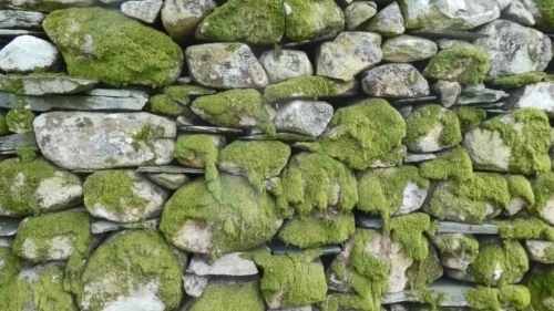 Knowing that Wordsworth himself likely walked this way 