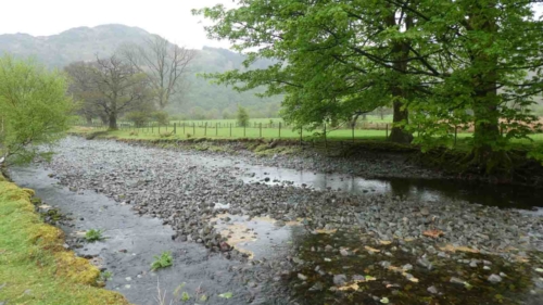 Most of the walks we did were within reach of the Royal Oak