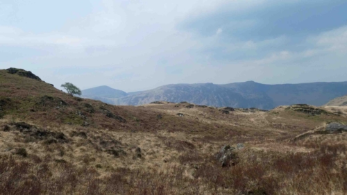 But it's not long before you find yourself referring to the Walklakes map and looking to keep the circular sheepfold on your right (turns out a sheepfold is a small sheep pen - makes perfect sense really) :)