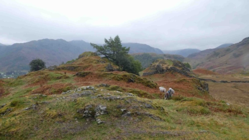 Lake District walks range from gentle strolls to challenging hill climbs - we opted for somewhere in the middle 
