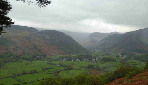 We came home one day to find two members of a small group who'd required hospital treatment after falls on the path