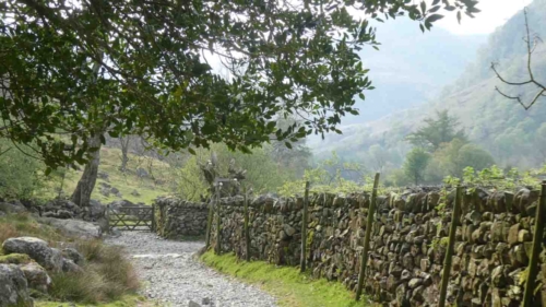 It's lovely to be wandering alongside a stream or an old dry stone wall