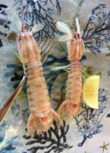 These Mantis shrimp, caught nearby, were one of the first courses