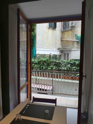 During our brief stop in Naples we looked out onto the neighbour's lemon trees