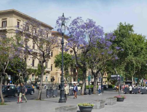Since then Palermo has been ruled by Greeks, Romans, Arabs, Normans, Bourbons and Austrians - among others (the jacarandas here made us think of home)