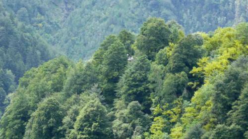 Supplies are loaded into a basket and 'flown' over the treetops up to the mountains