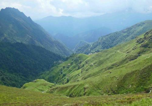 The first, short section of the track was reasonably steep, but it soon levelled out to a more steady incline