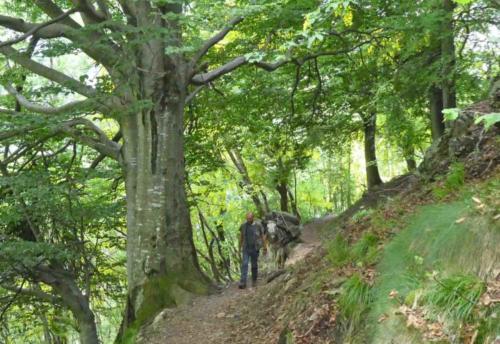 As we discovered, though, more traditional means of transportation are also still employed 