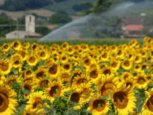 Well, widely used elsewhere in the world, but certainly not in Italy!