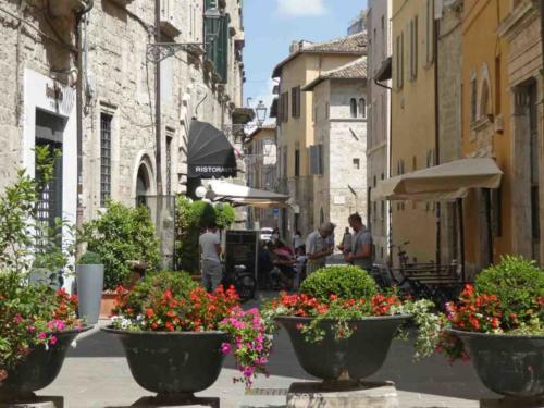 Typical local foods include veal-stuffed olives and 'fritto Ascolano', literally fried cream! What's not to love?