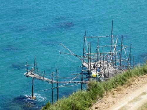 The seemingly random collection of timber poles are, in fact, part of a careful design