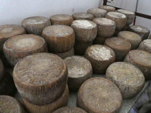 But this turned out to be some of the best cheese we've eaten