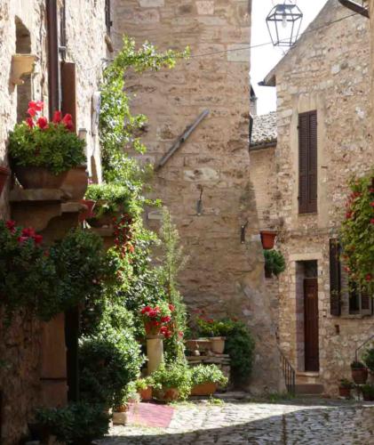 Spello is known for its spectacular spring festival 'Infioriate' when the streets are filled with flowers