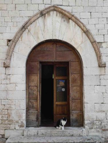 Then we came upon the little Church of Santo Stephano, with its very own guard-cat