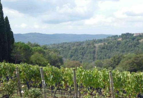 Our first destination was the Chianti region in Tuscany with Gracie and Nate