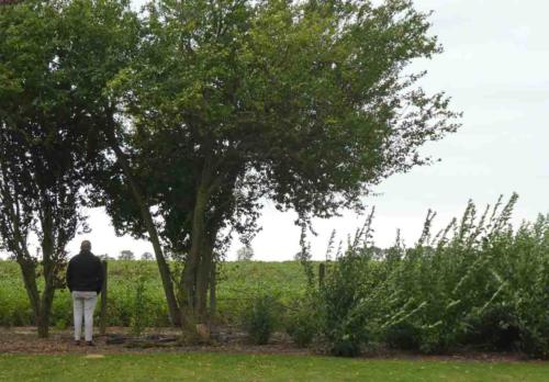 This is where Greg's grandfather was wounded in 1917; thankfully both our grandparents survived the war and returned home