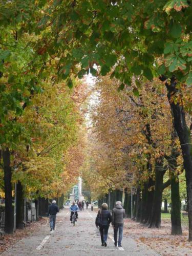 Beautiful autumn has well and truly arrived