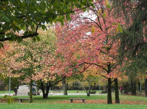 It's a lovely region to visit at this (or any time) of year