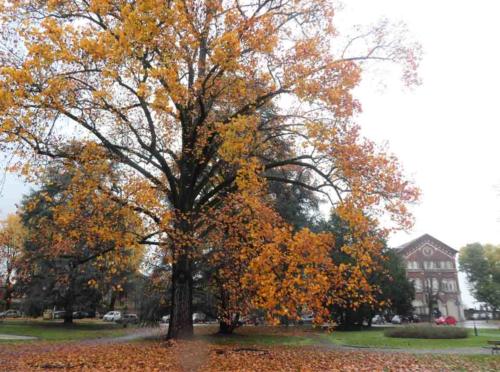 As if we needed reminding