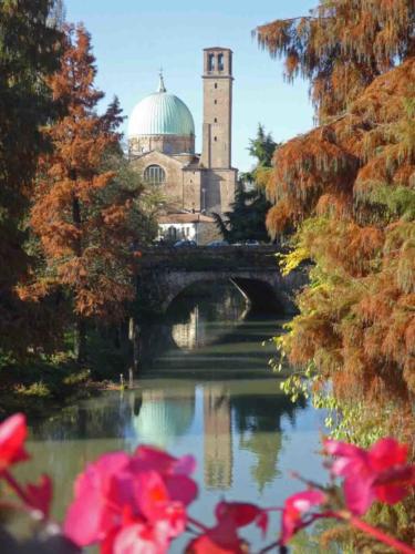 Padua is a lovely city with a lot to see and do; definitely worthy of a return visit