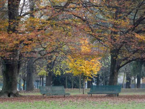 The historic 38-hectare park is right in the centre of the city