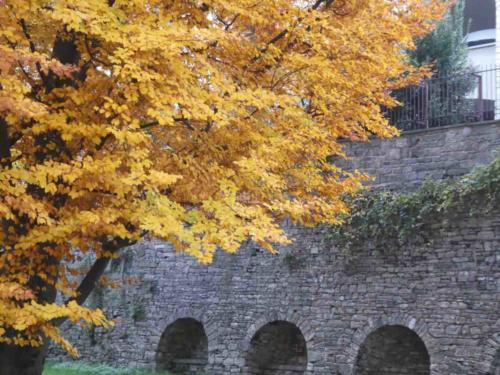 In the end we were very pleased not to have missed this lovely city