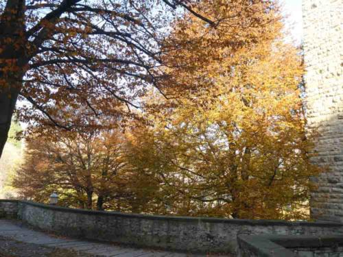 Instead, on that day, Bergamo's autumn leaves provided all the golden sweetness we needed 