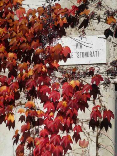 In many places around the lake the autumn foliage is hanging on, making for a spectacular show