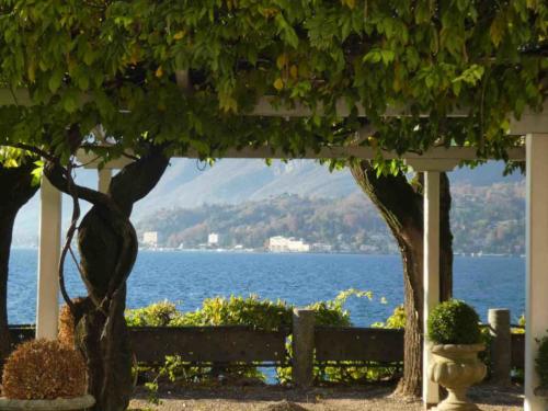 The tour guides will tell you no trip to Como is complete without a visit to Bellagio