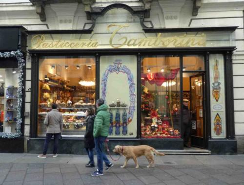 There's so much to see and enjoy here