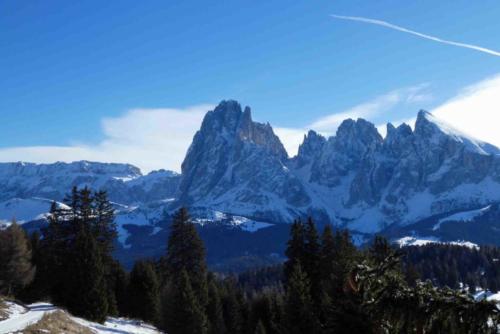 Eventually the increasingly slippery path reached the edge of a very steep drop, so we decided it would be prudent to turn around (only to then find we'd missed the 'easy/difficult' track advice the first time)