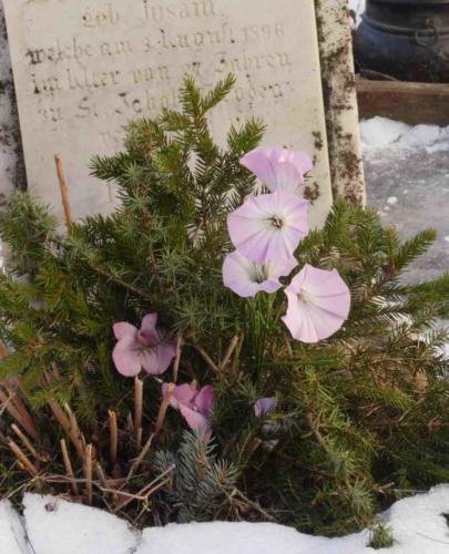 Cemeteries here are generally well cared for; even in very remote places you'll often find one or two people tending the graves of their loved ones