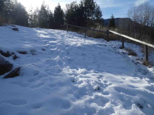 Unfortunately the path we chose headed round to the shady (read snowy and icy) side of the mountain