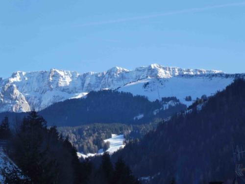 Last Christmas many of the hiking tracks were closed by heavy snow; this year we were able to get around a bit more