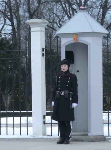 ... even on the coldest days (though a quick march around the sentry box from time to time helps keep the blood flowing)