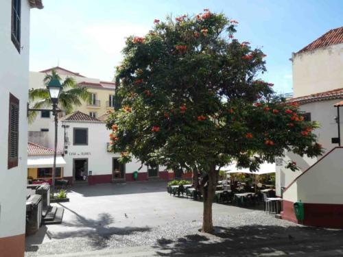 But the heady success of the sugar days is long gone