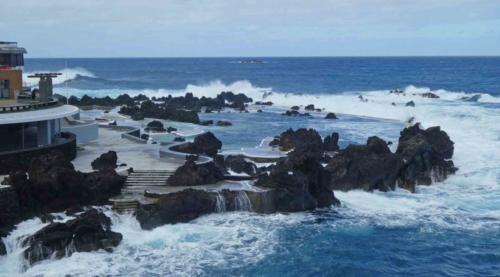 They occur at a couple of places along the coast; these are the lava pools at Porto Moniz 